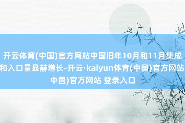 开云体育(中国)官方网站中国旧年10月和11月集成电路产量和入口量显赫增长-开云·kaiyun体育(中国)官方网站 登录入口
