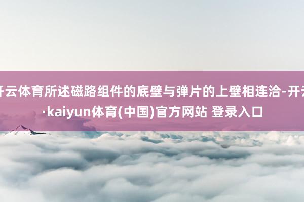 开云体育所述磁路组件的底壁与弹片的上壁相连洽-开云·kaiyun体育(中国)官方网站 登录入口