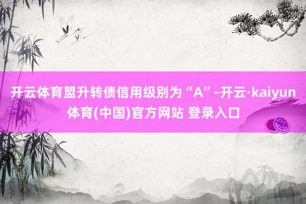 开云体育盟升转债信用级别为“A”-开云·kaiyun体育(中国)官方网站 登录入口