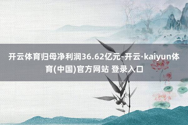 开云体育归母净利润36.62亿元-开云·kaiyun体育(中国)官方网站 登录入口